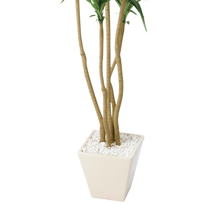 �ե��������꡼�� ���󥷥� 120cm 1ȭ����ȥ�󥹤乭��Ź�޶��֤ˤԤä��ꡣ�͹��Ǻ�Ǥ����������פǤ�������̵�� �ե��������꡼�� ���տ�ʪ �ե����� �͹����տ�ʪ �ꥢ�� ����ƥꥢ ȭ���� ȭ ���å�