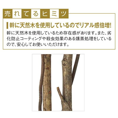 楽天市場 ベンジャミン ダブル 人工樹木 H180cm 1台エントランスや広い店舗空間にぴったり天然 幹を使用したリアルな立ち木を お手頃価格で フェイクグリーン 人工観葉植物 人工樹木 おしゃれ 大型 ストア エキスプレス 楽天市場店 楽天市場 ベンジャミン ダブル 人工樹木 H180cm 1台エントランスや広い店舗空間にぴったり天然 幹を使用したリアルな立ち木を お手頃価格で フェイクグリーン 人工観葉植物 人工樹木 おしゃれ 大型 ストア エキスプレス 楽天市場店