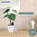 【5%OFFクーポン有り!11月1日限り】【光触媒加工】ジャロファ送料無料 フェイクグリーン 観葉植物 フェイク 人工観葉植物 リアル 卓上 インテリア 光触媒 トイレ 鉢植え 鉢 セット 消臭
