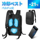 ペルチェベスト 冷却ベスト 冷感ベスト ペルチェ 30000mAh PD対応大容量バッテリ付き 瞬間強力冷却 半導体 瞬間体感-22℃ 3つ冷却プレート 超静音...