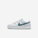 国内正規品 NIKE FD1228-002 Dunk Low Mineral Teal PS 17.5cm 11.5C US スニーカー ナイキ(4)