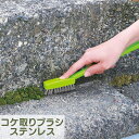 コケ取り ブラシ|ぶらし こけ カビ 除去 汚れ 掃除 壁 堀 外壁 壁 床 玄関まわり 駐車場 コンクリートブロック コンクリート 川 石 階段 道路 お掃除 掃除用品 清掃 清掃用品 大掃除 スキマ すき間 便利 手軽 軽量 ステンレス 駆除 PY674(3)