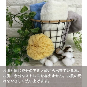 天然海綿スポンジ システィーナ ボディー海綿 | 天然海綿 高品質スポンジ ボディスポンジ ボディタオル ボディウォッシュタオル 浴用タオル 泡立ち 体洗い 柔らかい やわらかめ 高級 アトピー 低刺激