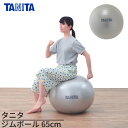 タニタ ジムボール 65cm シルバー 空気入れ ポンプ付き|バランスボール 65cm 体幹トレーニング バランス ボール 椅子 ヨガ ストレッチ ダイエット ...