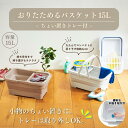 【ちょい置きトレー付】折りたためるバスケット 15L 幅46.3×奥行28.6×高さ7.3~20cm | 省スペース 万能 収納 整理 持ち運び 便利 バケツ バスケット おりたたみ 掃除用品 食器洗い 洗車用 アウトドア 持ち運び 上履き つけ置き洗い 隙間収納 コンパクト 日本製 水抜き栓付き