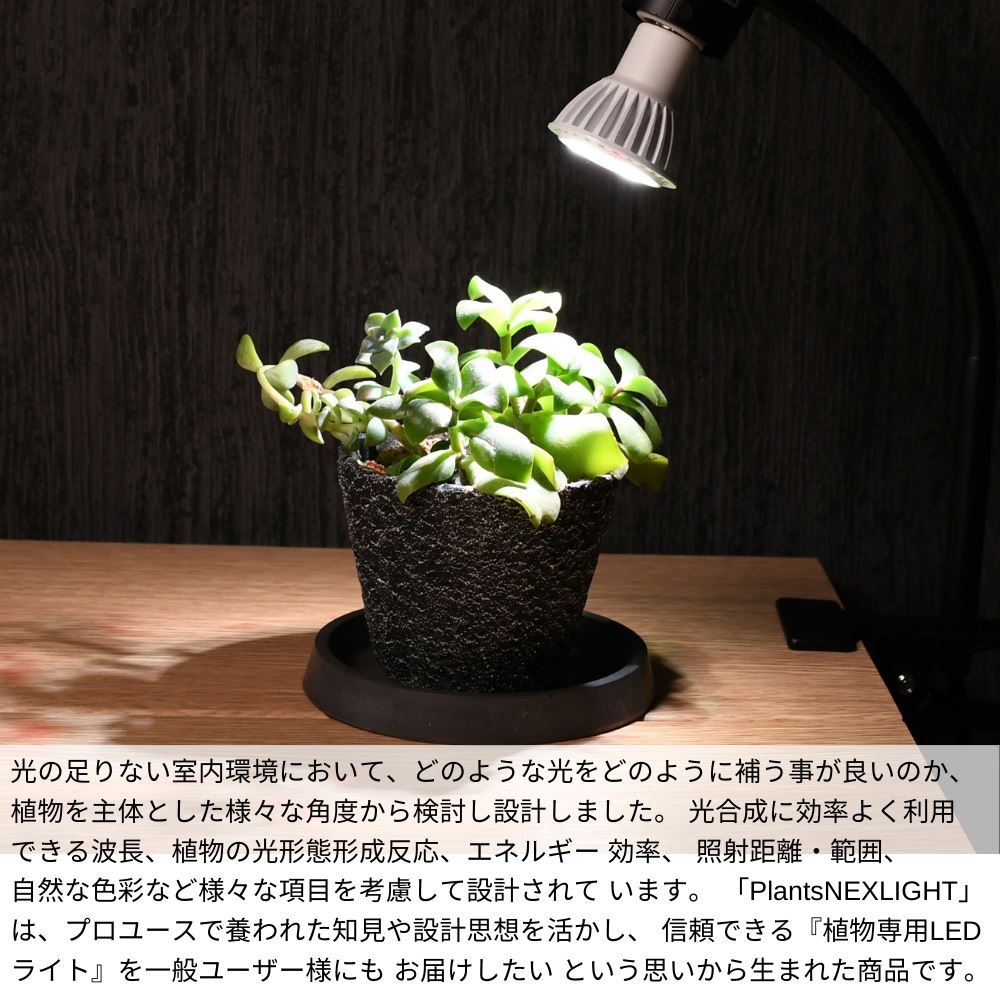 【植物の事だけを考えたライト】 植物専用 LEDライト PLANTS NEXLIGHT | 観葉植物 育成ライト 植物育成ライト LED 室内ライト 新商品 ライト 省エネ 育成 生育 E17 口金 プランツネクスライト ネクスライト PLANTS NEXLIGHT PAR16 植物専用LEDライト 園芸 ガーデニング 3