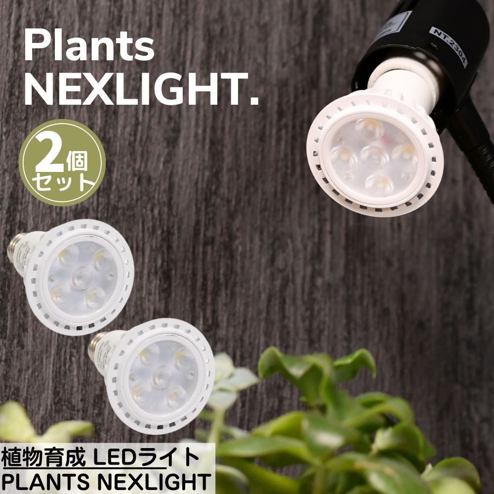 楽天丸福商店【植物の事だけを考えた】 植物専用 LEDライト PLANTS NEXLIGHT 2個セット | 観葉植物 育成ライト 植物育成ライト LED 室内ライト 新商品 ライト 省エネ 育成 生育 E17 口金 プランツネクスライト ネクスライト PLANTS NEXLIGHT PAR16 植物専用LEDライト 園芸 ガーデニング