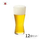 ビールグラス 薄吹き ビアグラス M 310ml 12個セット | グラス コップ タンブラー カップ ガラス ガラスコップ お酒 ビール ビールグラス 香り ガラス 日本製 おしゃれ かわいい ガラス食器 プレゼント 贈り物 誕生日 石塚硝子 アデリア 雑貨 食洗機対応 薄口