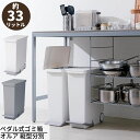 ペダル式ゴミ箱 オルア 縦型分別 33L | 分別 ごみ箱 ダストボックス ペダルペール 横開き タテ型 縦型 スリム ふた付き 日本製 おしゃれ キッチン LBD-14