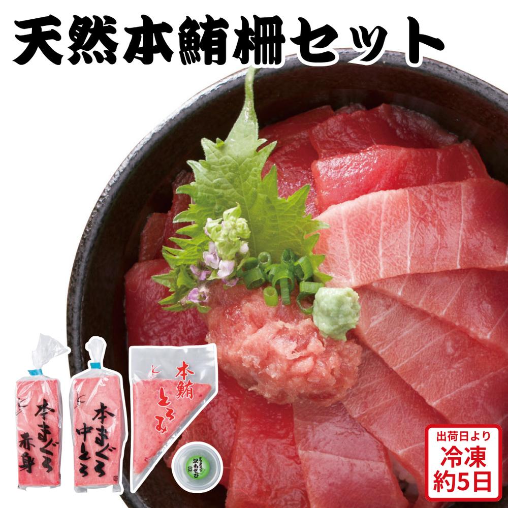 【メーカー直送】天然 本鮪 柵 セット 本まぐろ 本マグロ 赤身 中トロ とろみ 食べ物 夏ギフト 冬ギフト お中元 内祝い 贈答 贈り物 プレゼント お礼 お...