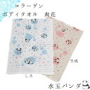 ボディタオル コラーゲン 「水玉パンダ」 約幅34cm×長さ92cm | タオル ボディー 水玉 パンダ 動物 綿100% お風呂 縄折り 美肌ケア うるおい ...