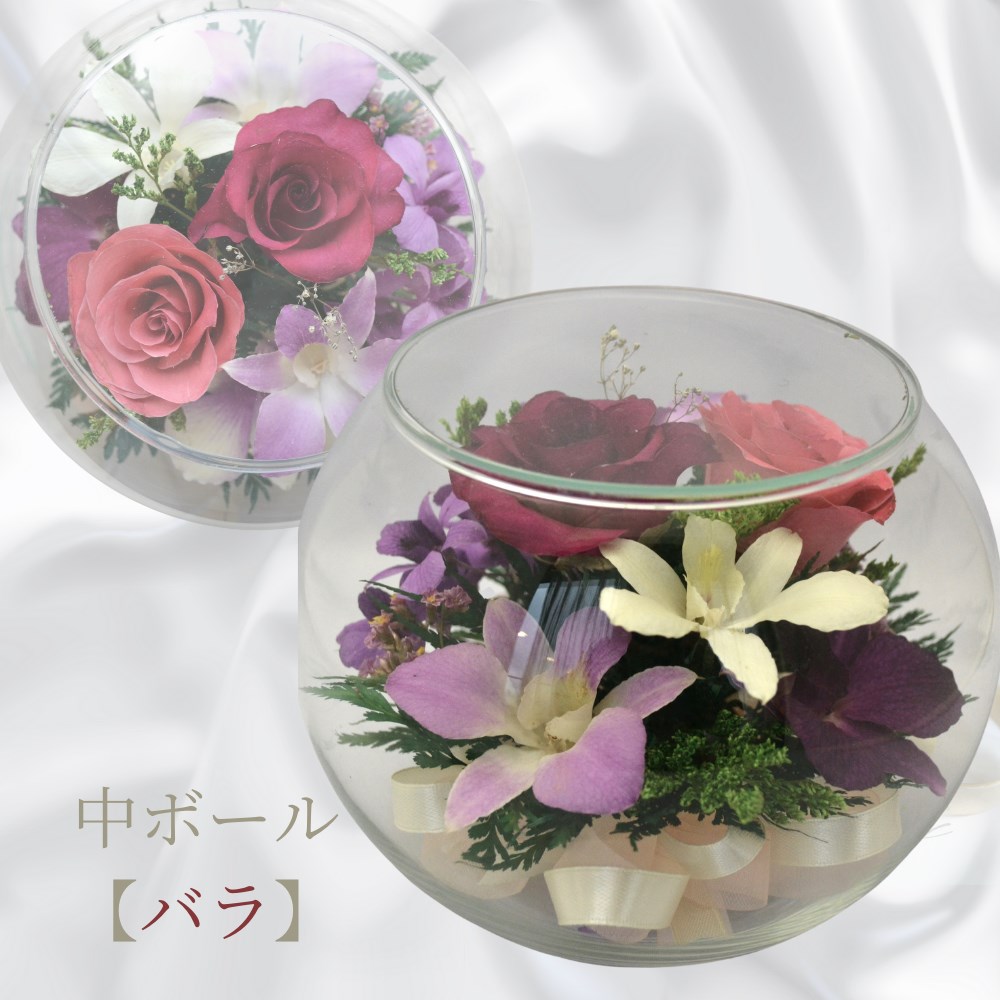 ≪レンデフロール≫カトレア・胡蝶蘭・バラ・グラジオラス (C-V