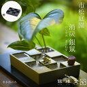 【メーカー直送品】花器 市松模様 生け花 苔 アクセサリー | 消炭 けしすみ 銀鼠 ぎんねず 亀 蛙 鮎 蟹 アクセサリーセット 杉苔 山苔 生花 こけ 日本...