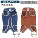 獣医さんが考えた 犬用 術後服 3号〜6号 | 術後服 犬 女の子用 男の子用 ペット用 3号 4号 5号 6号 傷口保護 メス オス 抗菌 消臭 手術後 ウェ...
