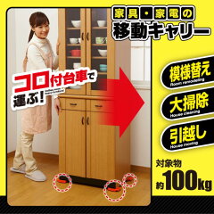 https://thumbnail.image.rakuten.co.jp/@0_mall/store-marufuku/cabinet/shohin/tanaka12/asak-a47005_1.jpg