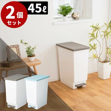 【送料無料 2個セット】 ペダル ゴミ箱 45L 日本製 分別 スリム | 大容量 蓋つきごみ箱 45リットル ふた付き ダストボックス おしゃれ ゴミ箱 縦型 蓋付き 袋が見えない 隠せる リビング ペダル 四角 一人暮らし 国産 ペダル式ゴミ箱 シンプル コンパクト インテリア 薄型