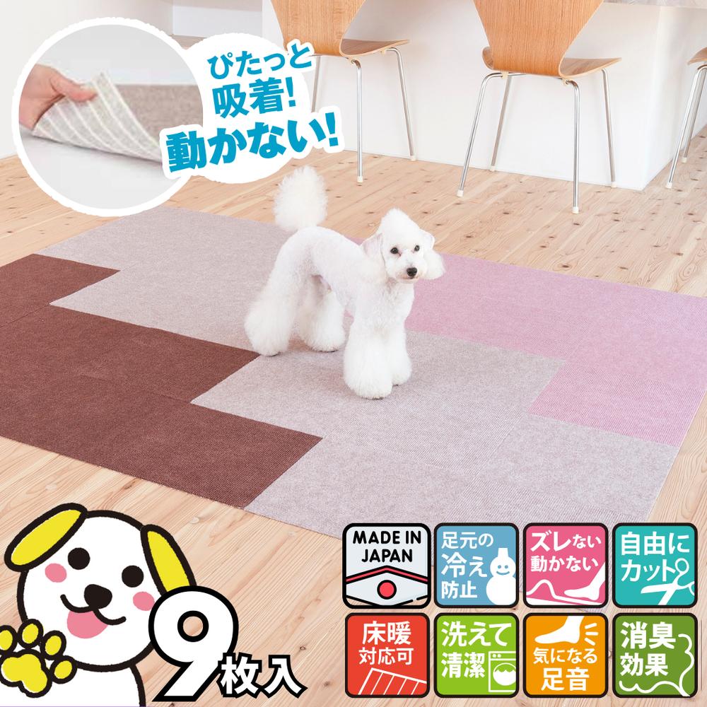   ޥå ڥå 0.5(9) | 륫ڥå ڥåб ʤ 奿ޥå 祤ȥޥå ѥͥ륫ڥå  Ҷ ڥå ­   б 䤨ɻ Хꥢե꡼ Ԥޥåȥ롼 3030cm