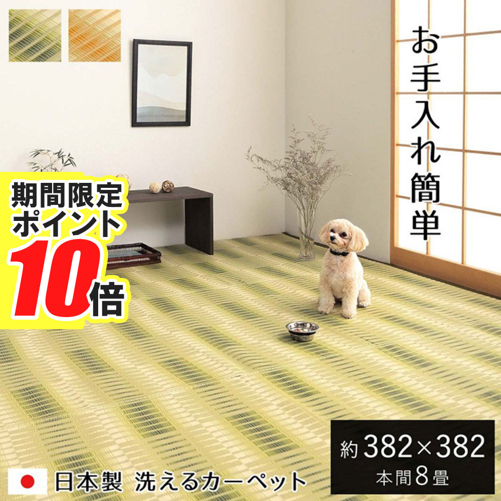  ݥ10  ᡼ľ ڥå 饰 ڥå  ܴ8 382382cm | ڥå    8...