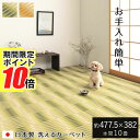 【 ポイント10倍 】 メーカー直送品 ペット用 ラグ カーペット 日和 本間10畳 約477.5×382cm | ペット ござ 日本製 国産 10畳 ダニ予防 カビ予防 丈夫 除菌スプレー対応 敷物 毛が絡まりにくい 爪が引っかかりにくい 耐久性 汚れに強い 水洗い可能 国産 手作業 イケヒコ