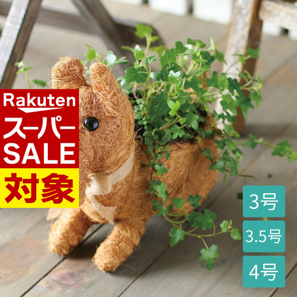 楽天市場】犬 プランター（植木鉢・プランター｜ガーデニング