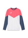 プーマ PUMA INDIVIDUAL RETRO TR LSシャツ サッカー 長袖プラクティスシャツ メンズ
