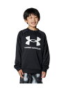 UNDER ARMOUR(アンダーアーマー)UA TECH TERRY LOGO CREW