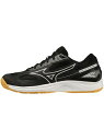 ミズノ MIZUNO CYCLONE SPEED 4 バレーボール シューズ ローカット メンズ V1GA238055