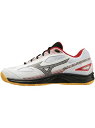 ミズノ MIZUNO スカイブラスター 3 バドミントンシューズ バトミントン ユニセックス 71GA234501