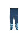 PUMA(プーマ)INDIVIDUALFINAL トレーニング ハ