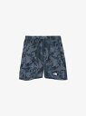 ザ・ノース・フェイス THE NORTH FACE NOVELTY SWALLOWTAIL VENT HALF PANT(ノベルティスワローテイルベントハーフパ...