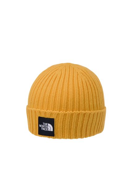 THE NORTH FACE(ザ・ノース・フェイス)CAPPUCHO LID(カプッチョリッド)