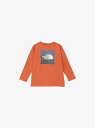 THE NORTH FACE(ザ・ノース・フェイス)T L/S Sleeve Graphic Tee (トドラーロングスリーブスリーブグラフィックティー(キッズ))