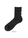 ファイテン phiten スポーツソックス(2足セット) セミロング バレーボール メンズ ソックス メンズ