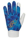Rawlings(ローリングス)守備用手袋 ゴーストスモーク2 フィールドグラブ - ブルー