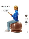 エルガム erugam 腰にイイス55CM フィットネス 健康 バルーン ユニセックス(4)