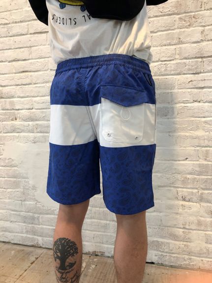 roial(ロイヤル)ROIAL ボードショーツ別注ペイズリー柄
