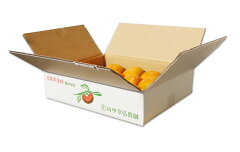 糖度も抜群!絶品の高級刀根早生柿をおためしください