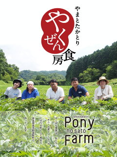 サラダ・お肉・お魚どれにかけても美味しい!