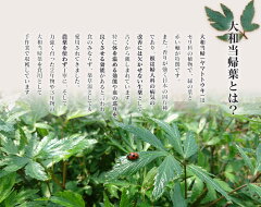 毎日の食卓に「やくぜん」を取り入れてみませんか?