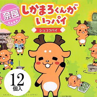 しかまろくんがいっパイ ショコラパイ 12個入(個包装)