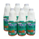 のむヨーグルト 飛鳥の酪 900ml×6本セット