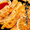 【手づくりの逸品】大和ぎょうざ 60個入り(15個×4パック) 大和野菜・ヤマトポーク100%使用
