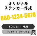 050 チームロゴ カッティング ステッカー オーダー オリジナル ステッカー 車 ステッカー 社名 文字 看板 表札 営業時間 会社名 電話番号 名前 フロン...
