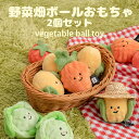 【BITE ME バイトミー】野菜畑ボールおもちゃ(2個セット) ■最強翌日配送■ 犬 おもちゃ ボールトイ 2個入 セット ボール ふわふわ 音 ノーズワーク...