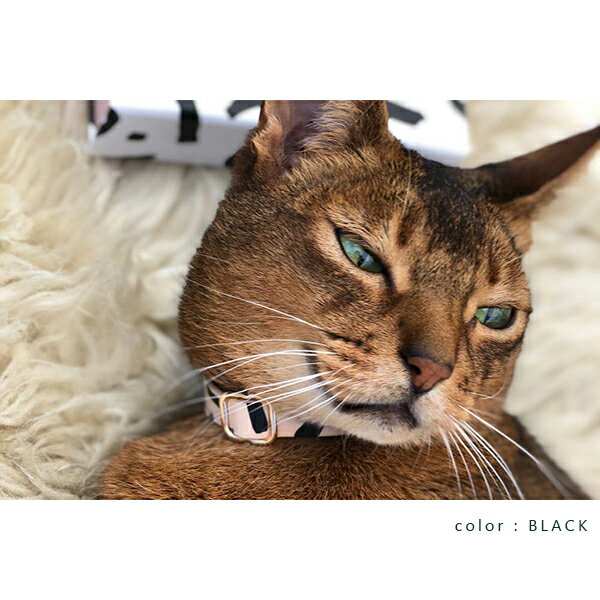 【NICE DIGS ナイスディッグス】TIGGY CAT COLLAR キャットカラー レザー ハンドメイド■ネコポス対応■ 00352401DG014