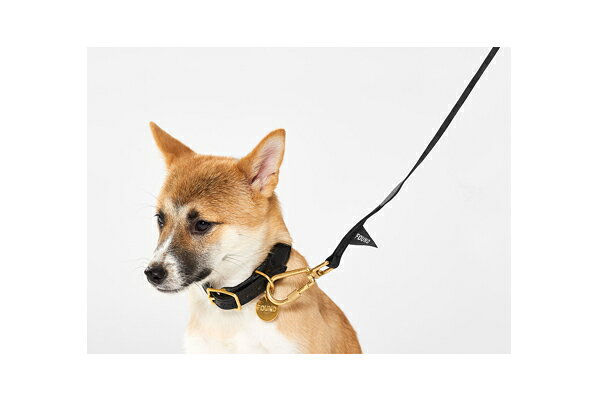 【FOUND MY ANIMAL ファウンドマイアニマル】WATER RESISTANT STANDARD 5FT LEASH,...