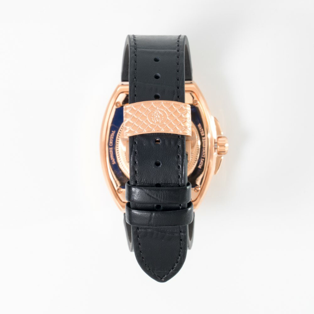 【2日10時まで10％OFFクーポン！楽天ファッション対象ストア】roberto cavalli BY FRANCK MULLER ロベルト・カヴァリ バイ フランク・ミュラー 自動巻 ブラックRG RV1G207L0061 メンズ 【安心の1年保証】