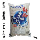 新潟 岩船産 こしいぶき 5kg 白米 単一ブランド米 銘柄米 お米 2024年産