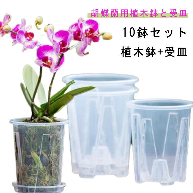 樂天商城 - 透明 蘭の鉢 プラスチック 10鉢セット 植木鉢 屋外 観葉植物 植木鉢 胡蝶蘭鉢 洋蘭鉢 受皿付き 胡蝶蘭の植え替え 屋内 植木鉢 オーキッドポット 穴付き 多肉植物 育苗ポット プランター 保育園ポット 送料無料