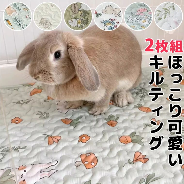 2枚セット 10柄 うさぎちゃん用 キルティングマット ベッド ラグ 46x36 ペット クッション ペットベッド 洗える 座布団 洗濯 通年 冬 折畳み ラージマット うさぎ用 ウサギ用 ふわふわ もこもこ ケージ 敷きもの プチプラ 可愛い 送料無料